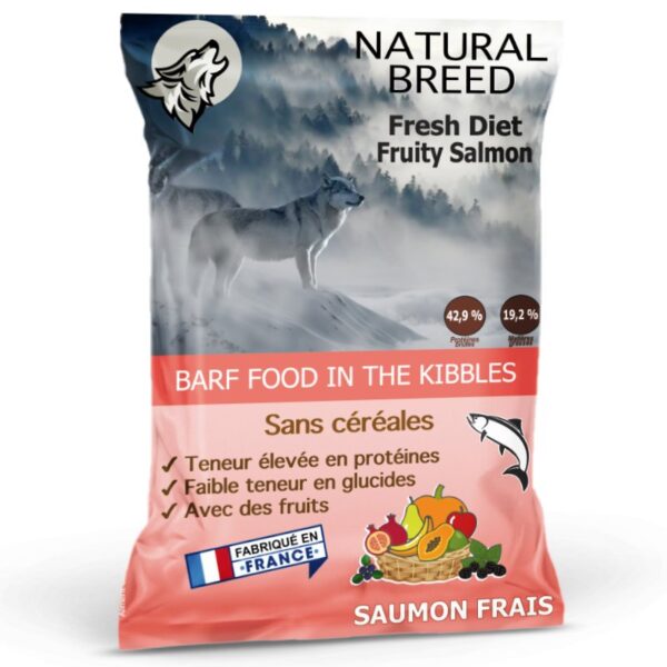 fresh-diet-fruity-salmon-saumon-frais-et-fruits-mypattoune